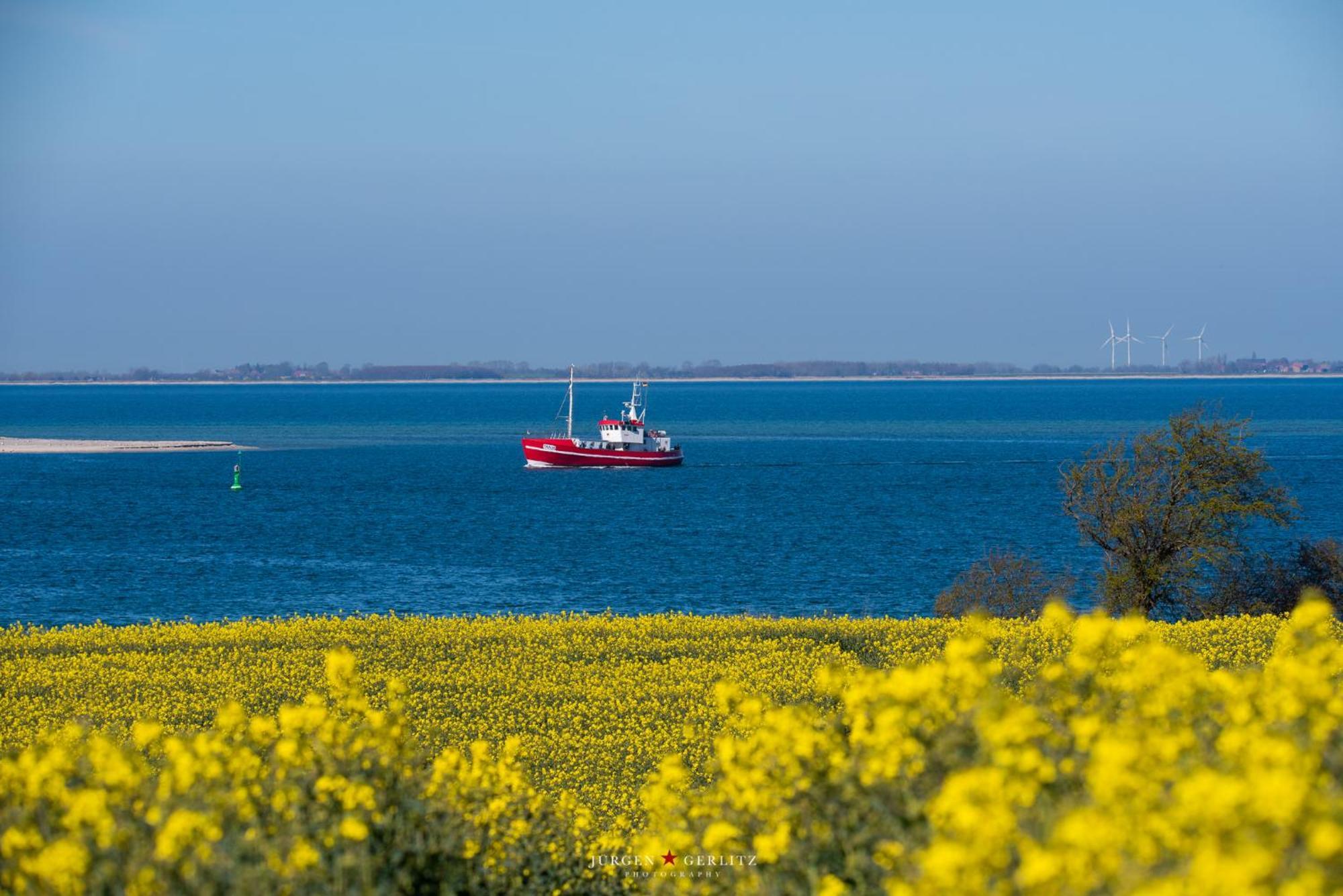 Ferienwohnung Brueckenblick Kappeln Bagian luar foto